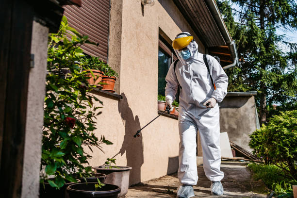 Best Best Pest Control Companies  in Whitestown, IN