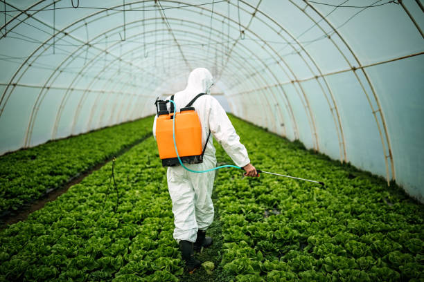 Pest Control Cost in Whitestown, IN