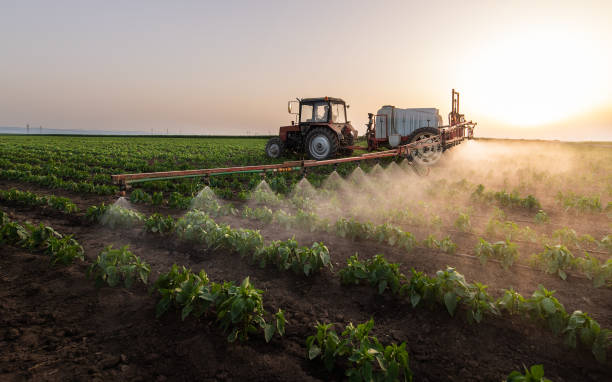 Professional Pest Control in Whitestown, IN