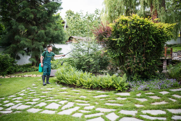 Best Residential Pest Control  in Whitestown, IN
