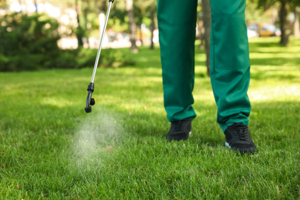 Best Pest Control Near Me  in Whitestown, IN