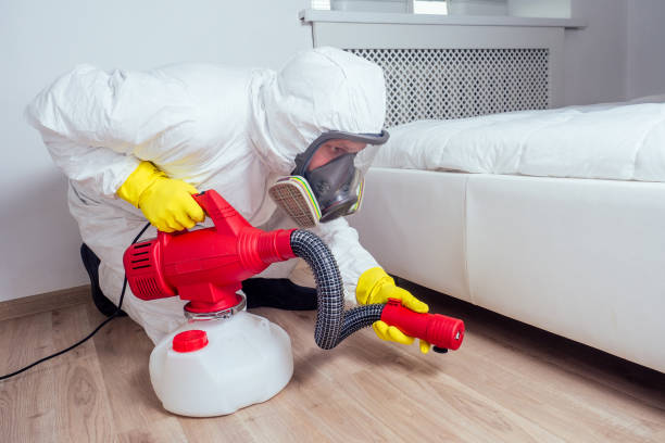 Best Affordable Pest Control Services  in Whitestown, IN