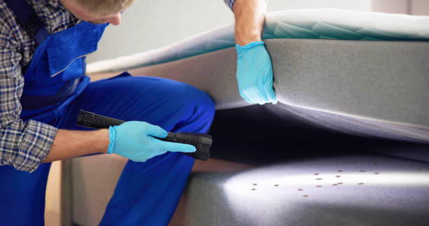 Best Local Pest Control Services  in Whitestown, IN