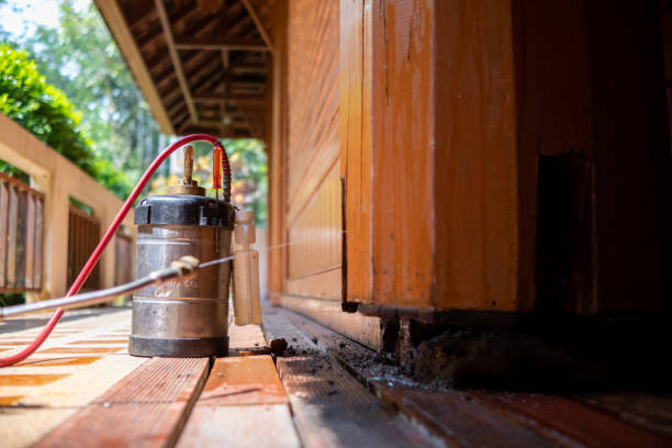 Best Ant Control Services  in Whitestown, IN