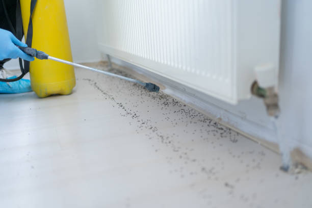 Best Pest Removal Services  in Whitestown, IN